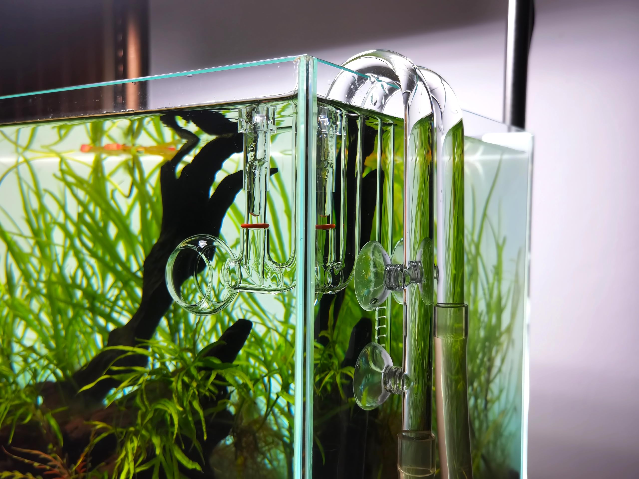Bec verseur Lily Pipe Spin en verre avec écumeur pour aquarium planté (17 mm pour tuyau de 16/22 mm)