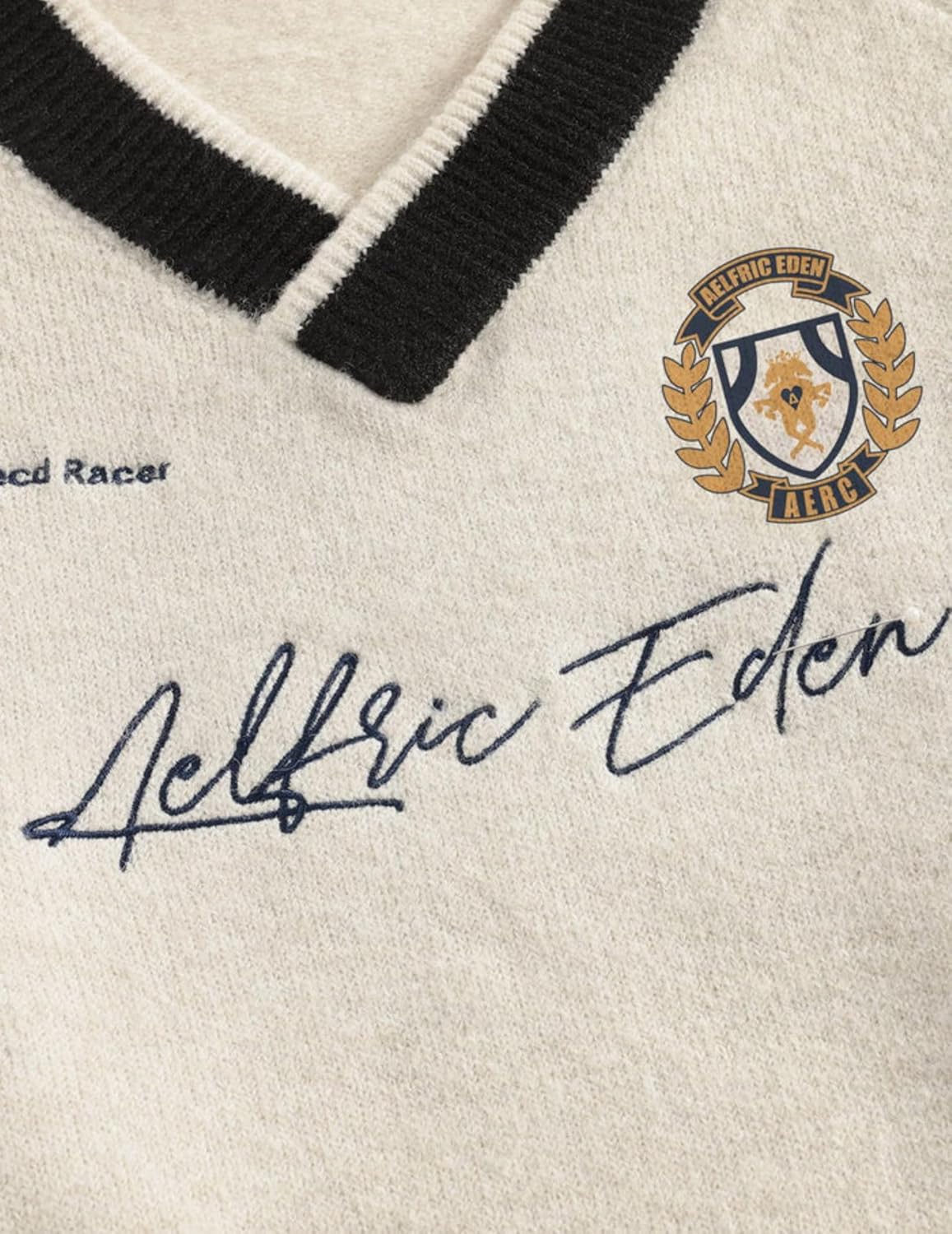 Aelfric Eden Sweaters Patchwork V-Neck Sweater for Women Men Graphic Oversized Pullover 2025 Trendy Outfits - Image 5