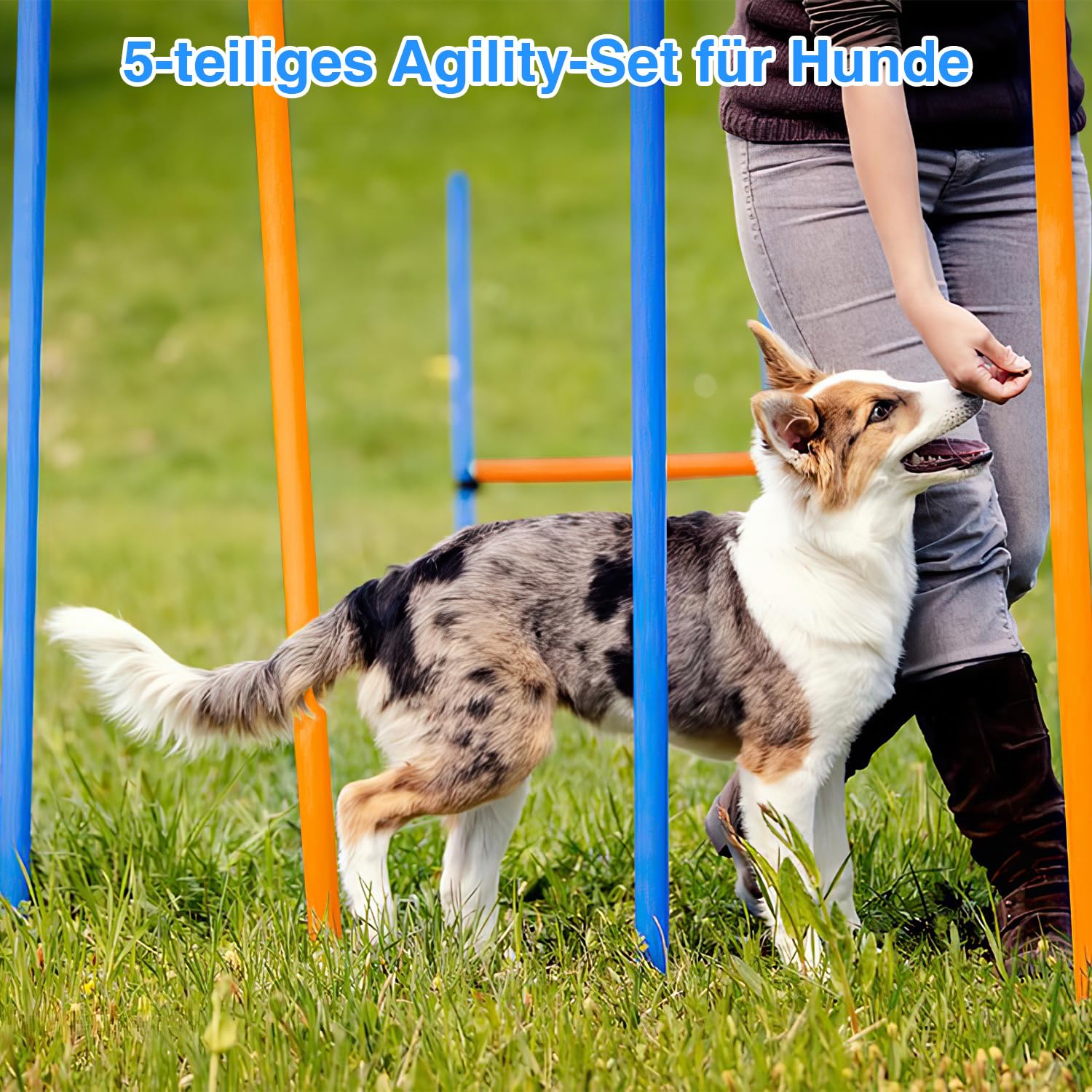 Agility Set Hunde, 5-teiliges Set Agility-Ausrüstung für Hunde, Slalom, Agility Hürde, Sprungring & Hundetunnel, 8 Slalomstangen, Ball, Pfeife, Tragetasche, Hundeparcour, Hundesport