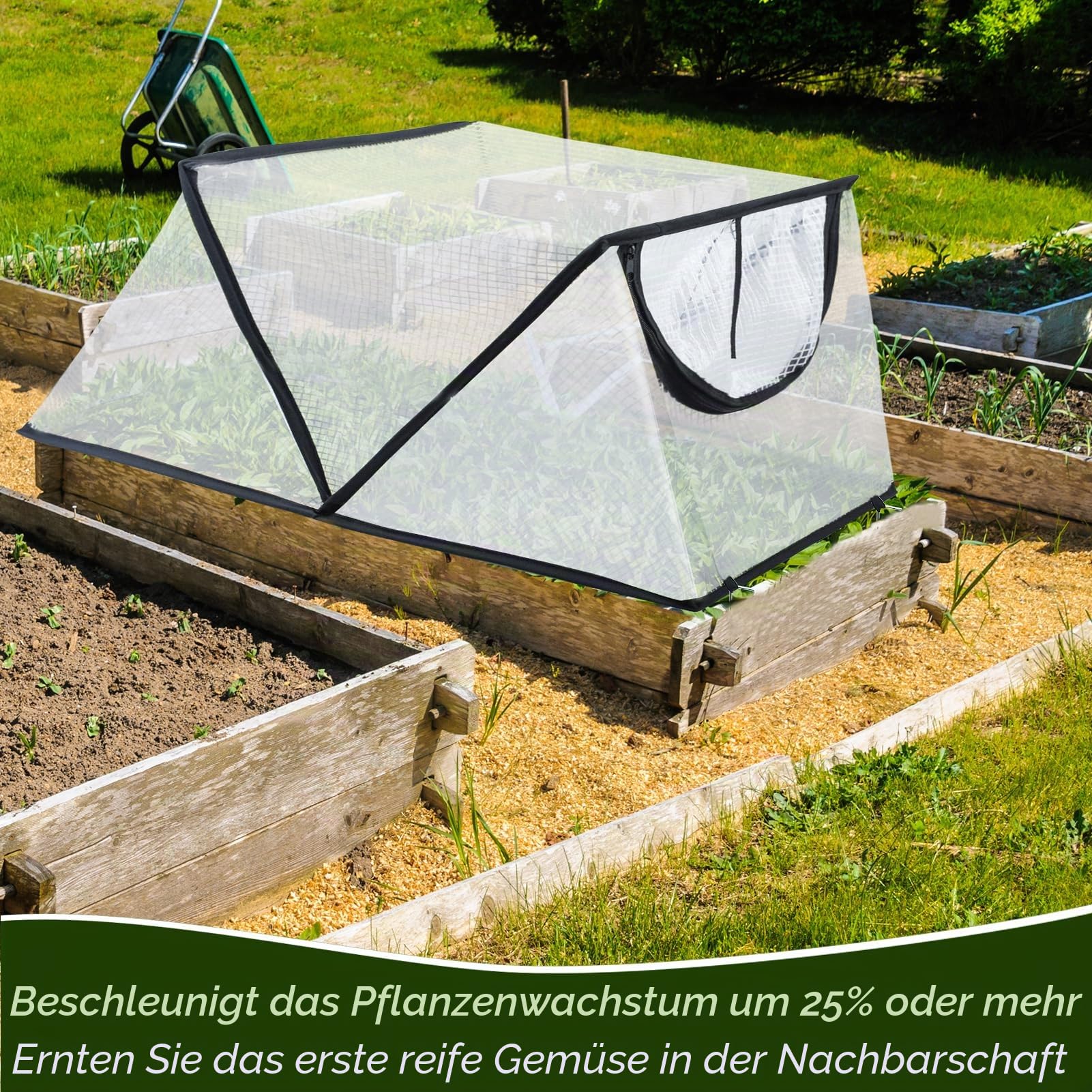Gartenreihen-Beschleuniger-Pflanzenabdeckung, faltbar, Hochbeet-Abdeckung mit Reißverschluss-Tür, wasserdicht, kleines Gewächshaus, Pflanzenkäfig, Schutz für Gemüse, Blumen, Früchte von Tieren, 78,9 x