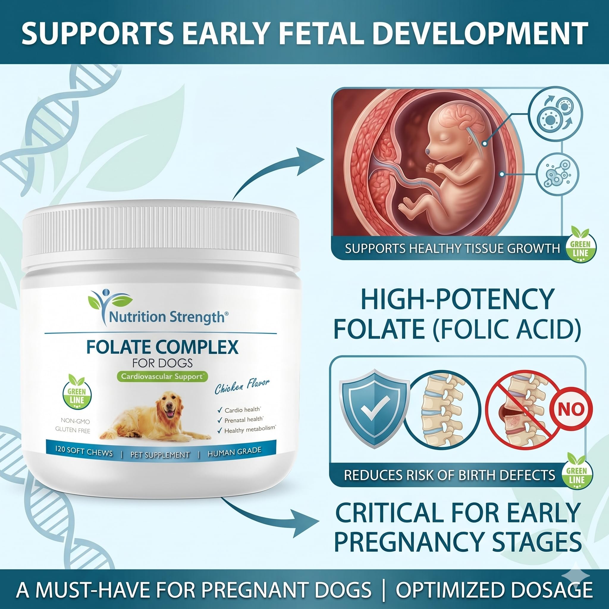 Folate for Dogs to Promote Cardiovascular & Prenatal Health, Support DNA Synthesis & Cell Maintenance, Folic Acid for Dogs with Zinc, Biotin, Iron & Vitamin B12, 120 Soft Chews — Amazon image 7
