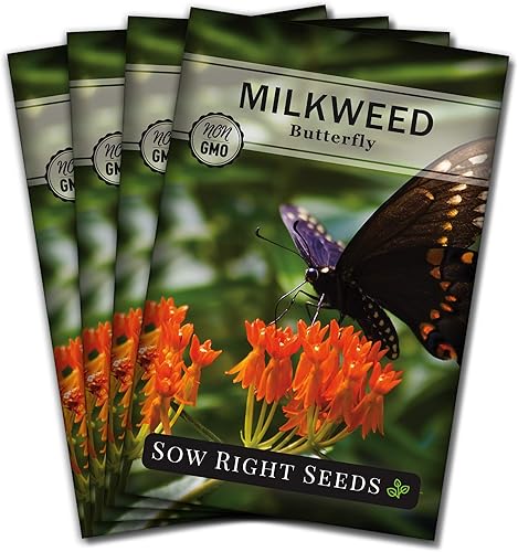 Miniatura 7 de Sow Right Seeds Semillas de algodoncillo de mariposa – Atrae monarca y otras mariposas a tu jardín – Paquete de semillas de reliquia sin OMG