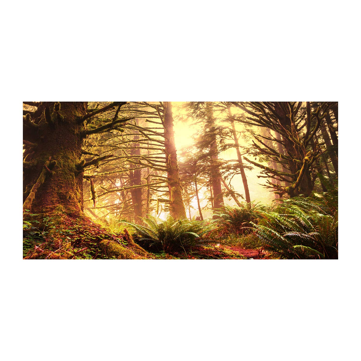 Tulup Obraz na płótnie - 120x60cm - Wydruk na Ścianę do Salonu Kuchni Kanwa Canvas Zdjęcie - Las deszczowy