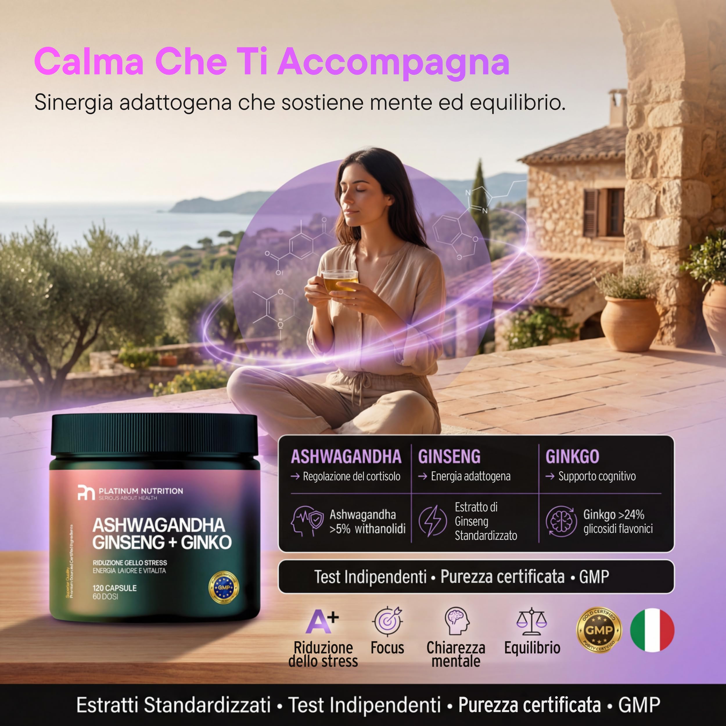 Platinum Nutrition Ashwagandha KSM-66 con Ginseng & Ginkgo Biloba, 120 Capsule (2 Mesi) | Integratore Naturale Adattogeno per Energia Mentale, Memoria, Ansia e Stress | Complesso con Ashwagandha Pura