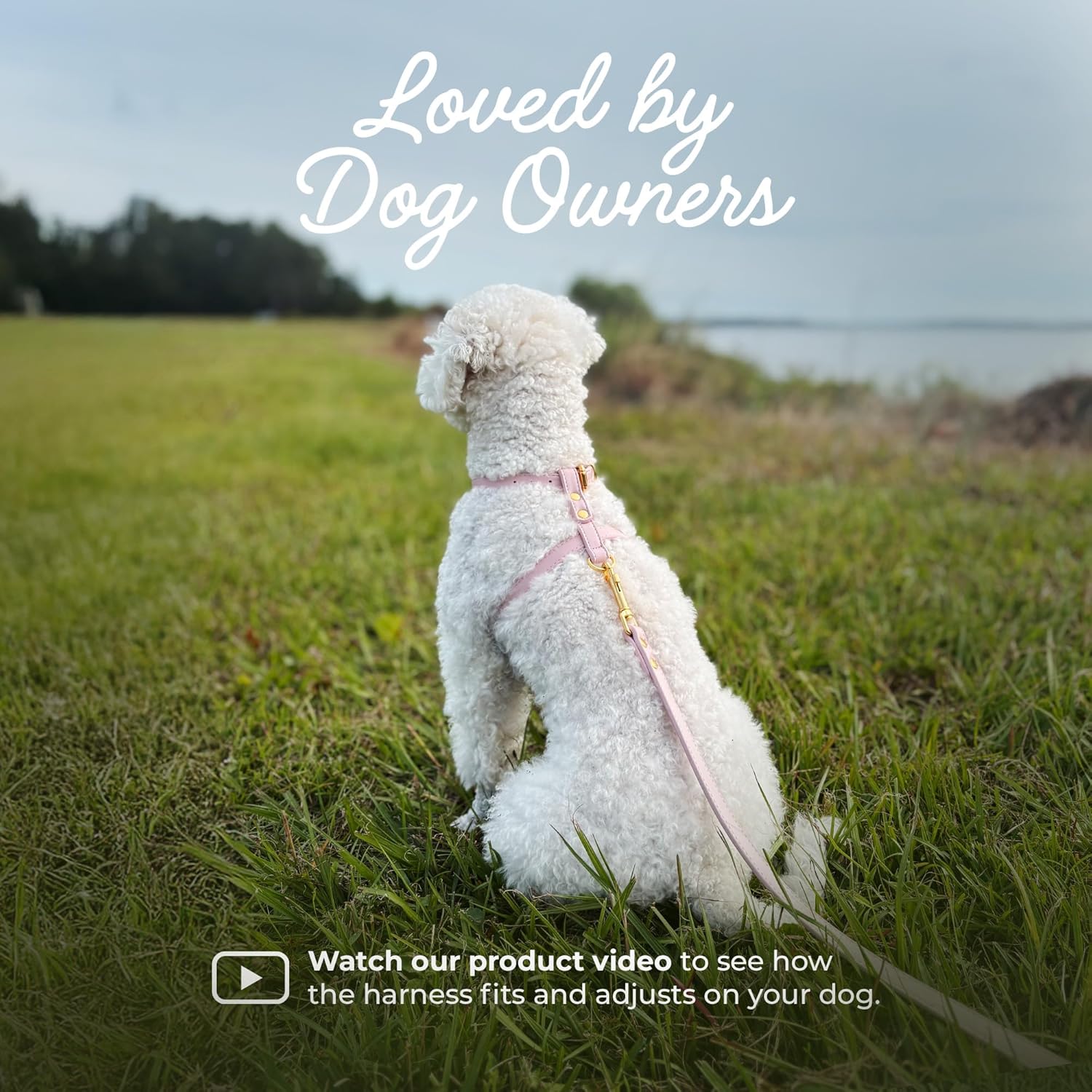 Luxury No Pull Dog Harness and Leash Set, PU Leather Escape-Proof Design, Anti-Choke Comfort, Front/Back Attachment, Essential Pet Supplies for Everyday Walks & Training (Harness Leash Set -Pink, M)