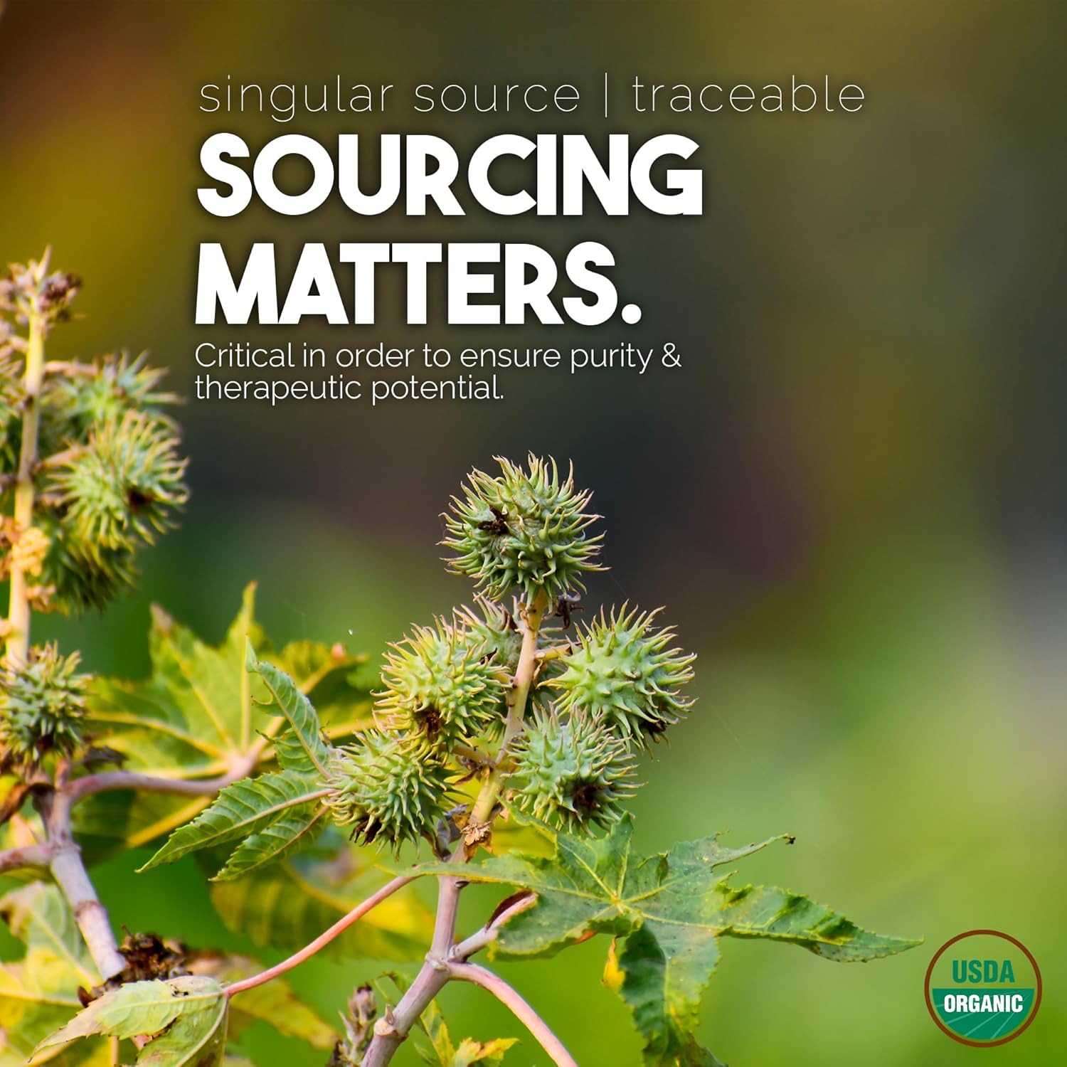 BALM OF GILEAD Organic Castor Oil for Skin Hydration - Therapeutic Cold Pressed, USDA Certified 100% Pure, Glass Bottle - 16 oz Unrefined, Hexane Free, Castor Oil for Hair & Eyelashes Growth - Image 7