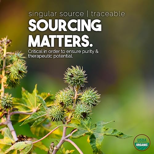 Miniatura 7 de Aceite de Ricino Orgánico BALM OF GILEAD para Hidratación de la Piel - Terapéutico Prensado en Frío, Certificado USDA 100% Puro, Botella de Vidrio -