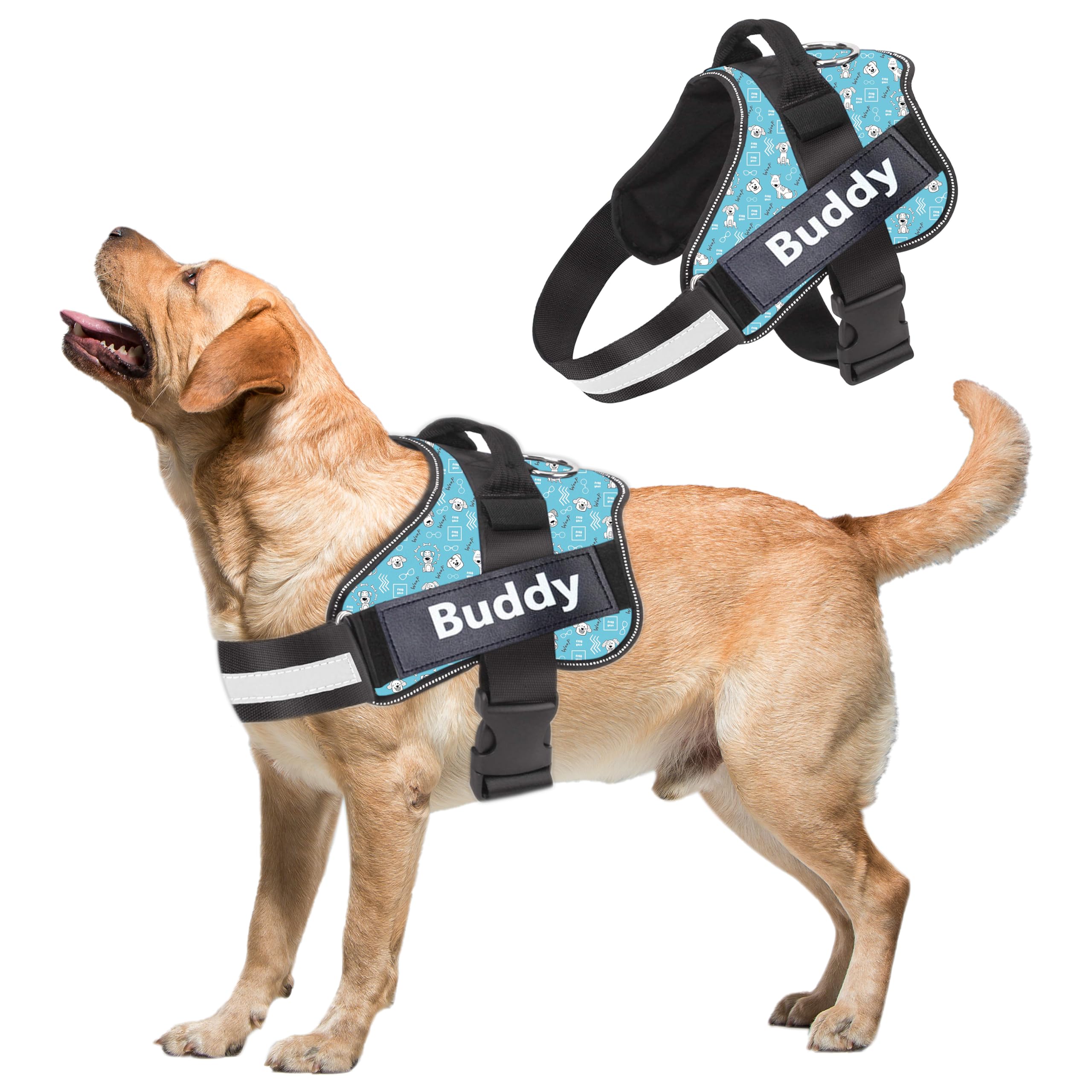 Dog Harness Chest Body Belt for Medium Dogs with Easy Control Handle, Breathable Soft Padding, Night Reflective, No Choke Design, Safety Lock Buckle (Sky Blue, M)