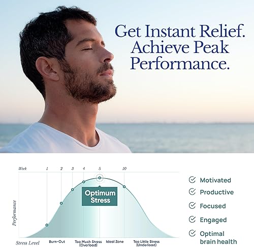 Miniatura 4 de TAHIRO Suplemento para aliviar el estrés  Suplemento natural de apoyo cerebral con magnesio, vitamina B, Ashwagandha, Brahmi  Suplemento de refuerzo