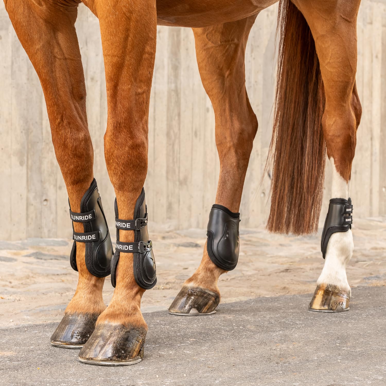 SUNRIDE Botas de Salto (Lote de 2) para Caballos - de Cuero auténtico, Neopreno y una Capa amortiguadora - con ventilación óptima (S, Negro)