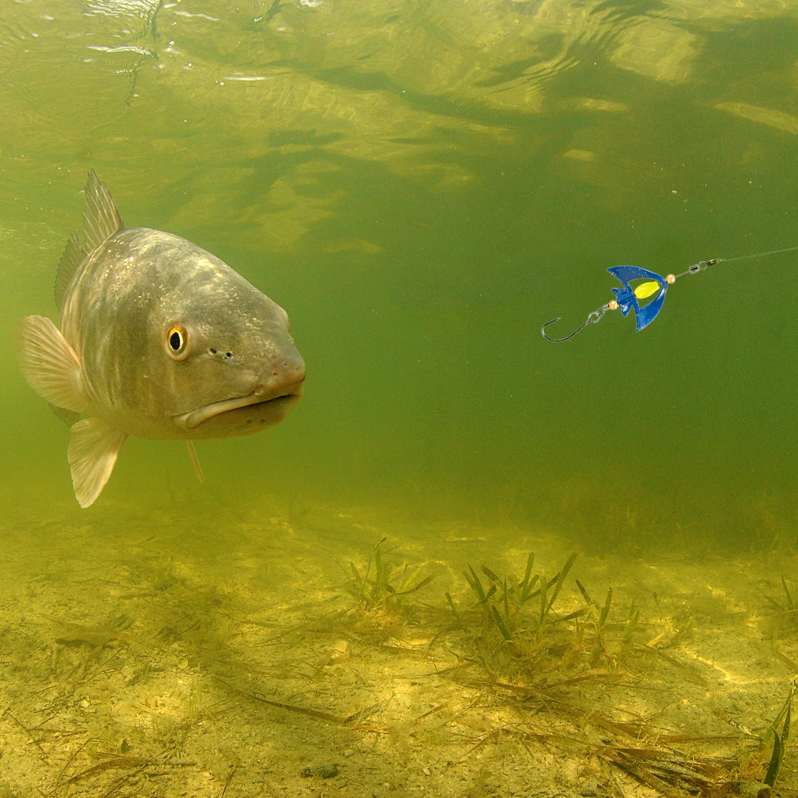 Libra Lures - Esca per trote, doppio spot, con luce UV, autoilluminante, 35 g, 5 cm, twister, trota, spot, set di esche di alta qualità
