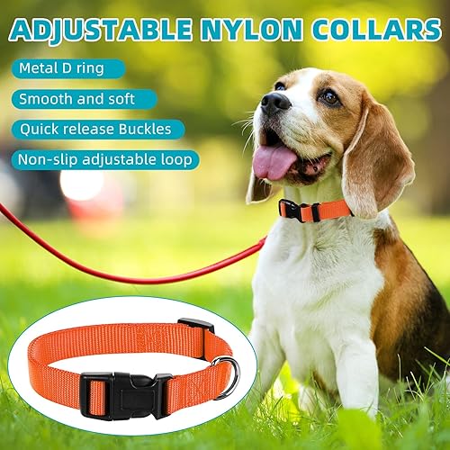Miniatura 5 de 12 collares de nailon para perro, a granel, ajustables con hebilla de liberación rápida, collares para perros, caminar, correr, entrenar, talla M