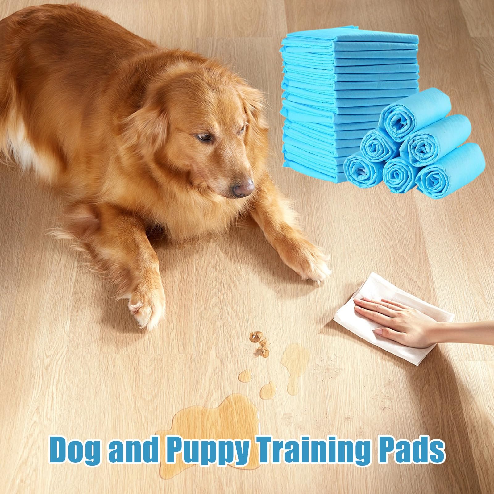 Hundetopf -Trainingspads - Welpe Pee Pads, Absorbierende Haustierzubehör | 100 Count Ultra Saugle Odor Eliminierung Von Pads Für Hausbrecher, Töpfchen -Trainingsmittel Für Kleine Tiere Katzen Kätzchen
