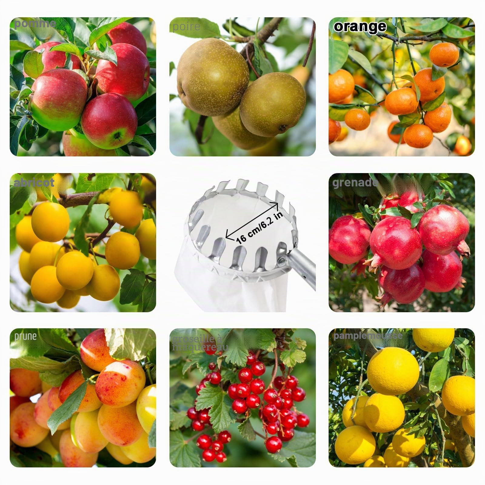 seOSTO Cueille Fruit Télescopique, 4,2M Cueilleur de Fruits Amovible, Ramasse Fruit avec Poteau Réglable Léger et Sac en Coton, Outil Cueillette Jardin Arbre Poires Pêches Ø 160mm