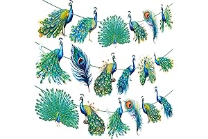 Peacock Decorations for a Party
