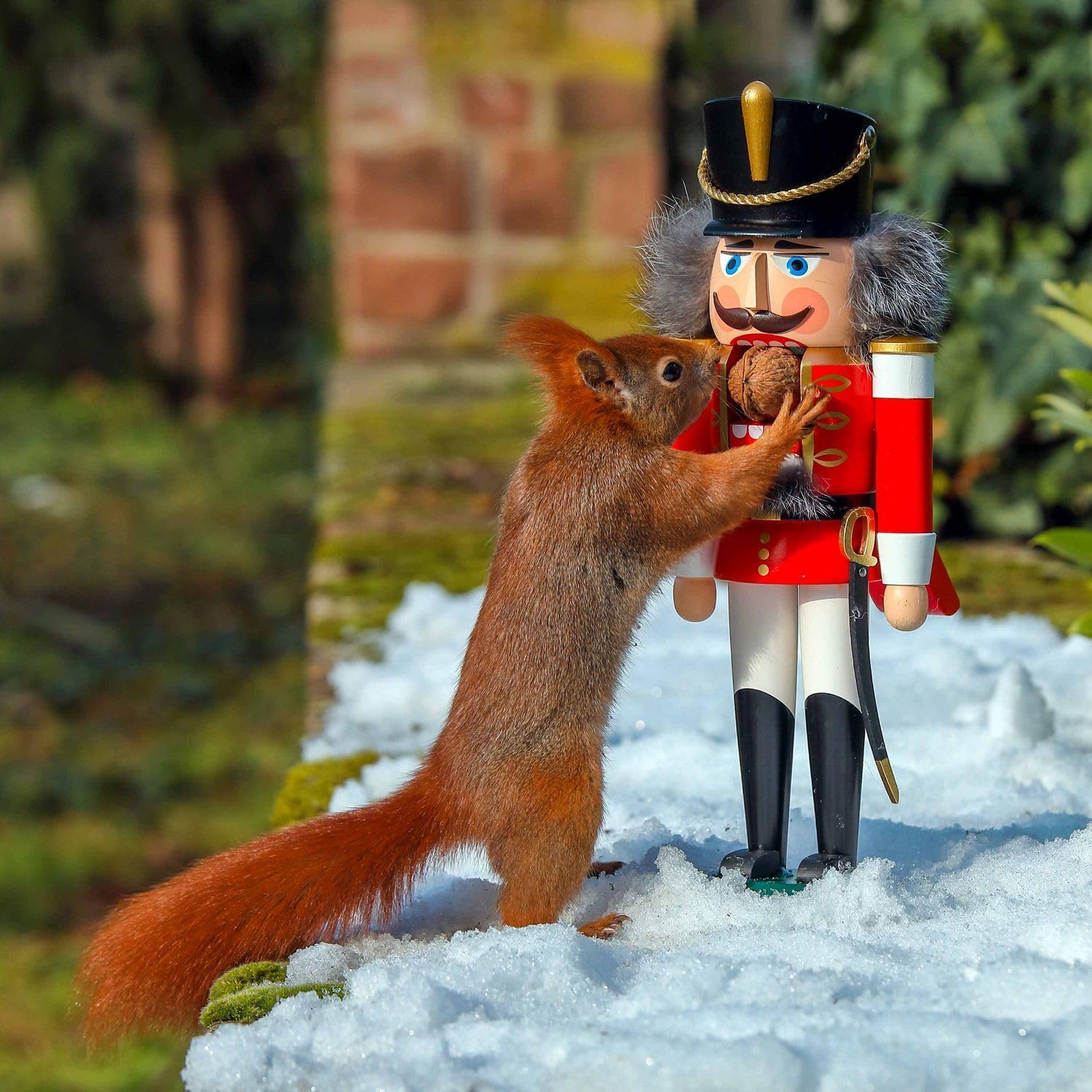 Seiffener Volkskunst, Husar Nutcracker 37 cm, red