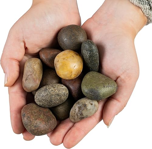 Vista 110 de MSI Guijarros multicolor pulidos decorativos, 1.2 pulgadas - 2 pulgadas, bolsa de 40 libras