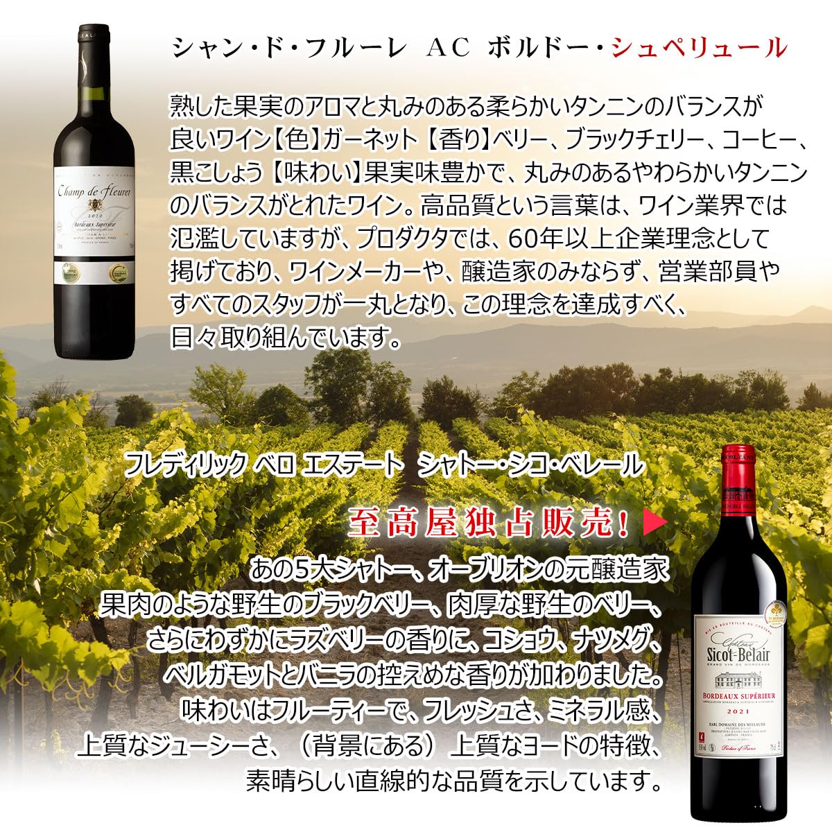 赤ワイン 3本セット フルボディワイン 欧州フルボディ赤ワイン3本セット | 商品詳細 | 高島屋