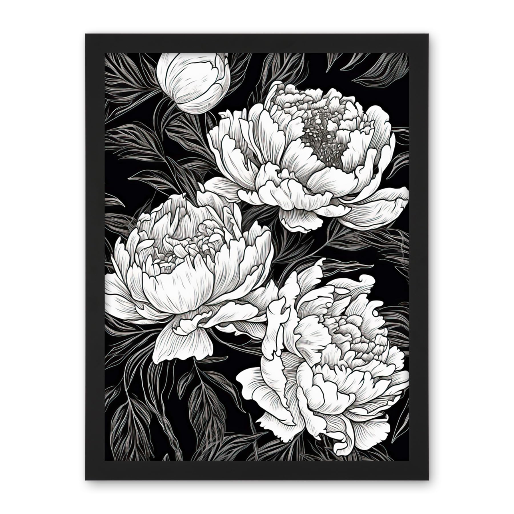 Artery8 Peony Flower Blooms White on Black Illustration Artwork Framed Wall Art Print 18X24 Inch