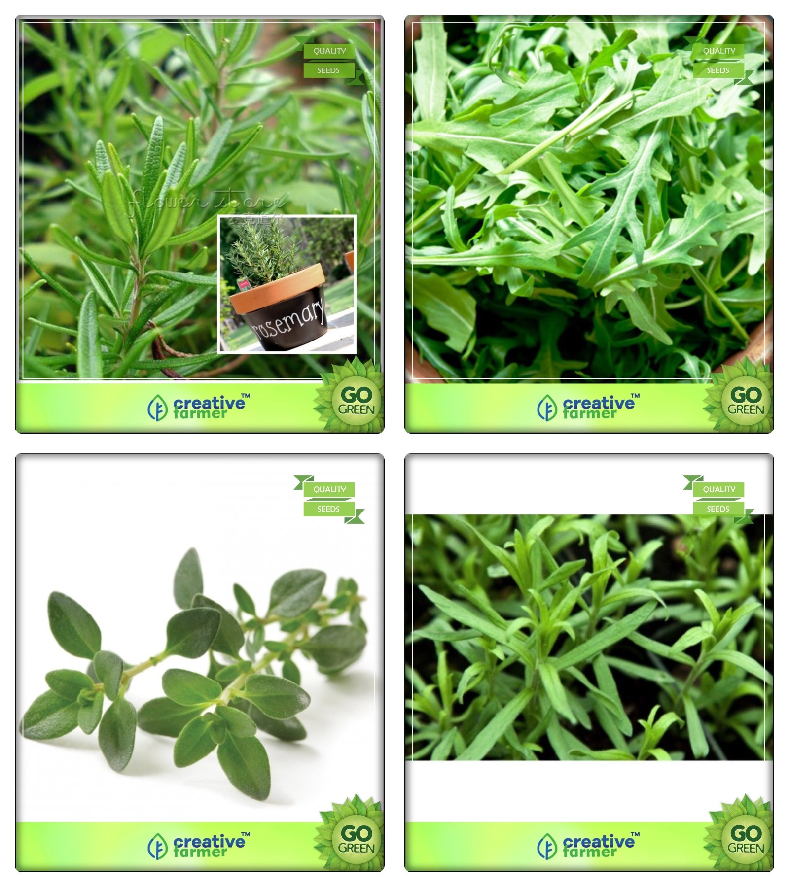 Creative Farmer Combo Offers Seeds Rosemary, Wild Rocket, Thyme English Winter, Terragon Herb Seeds Combo Pack (B078V2HNML) Amazon Price History, Amazon Price Tracker