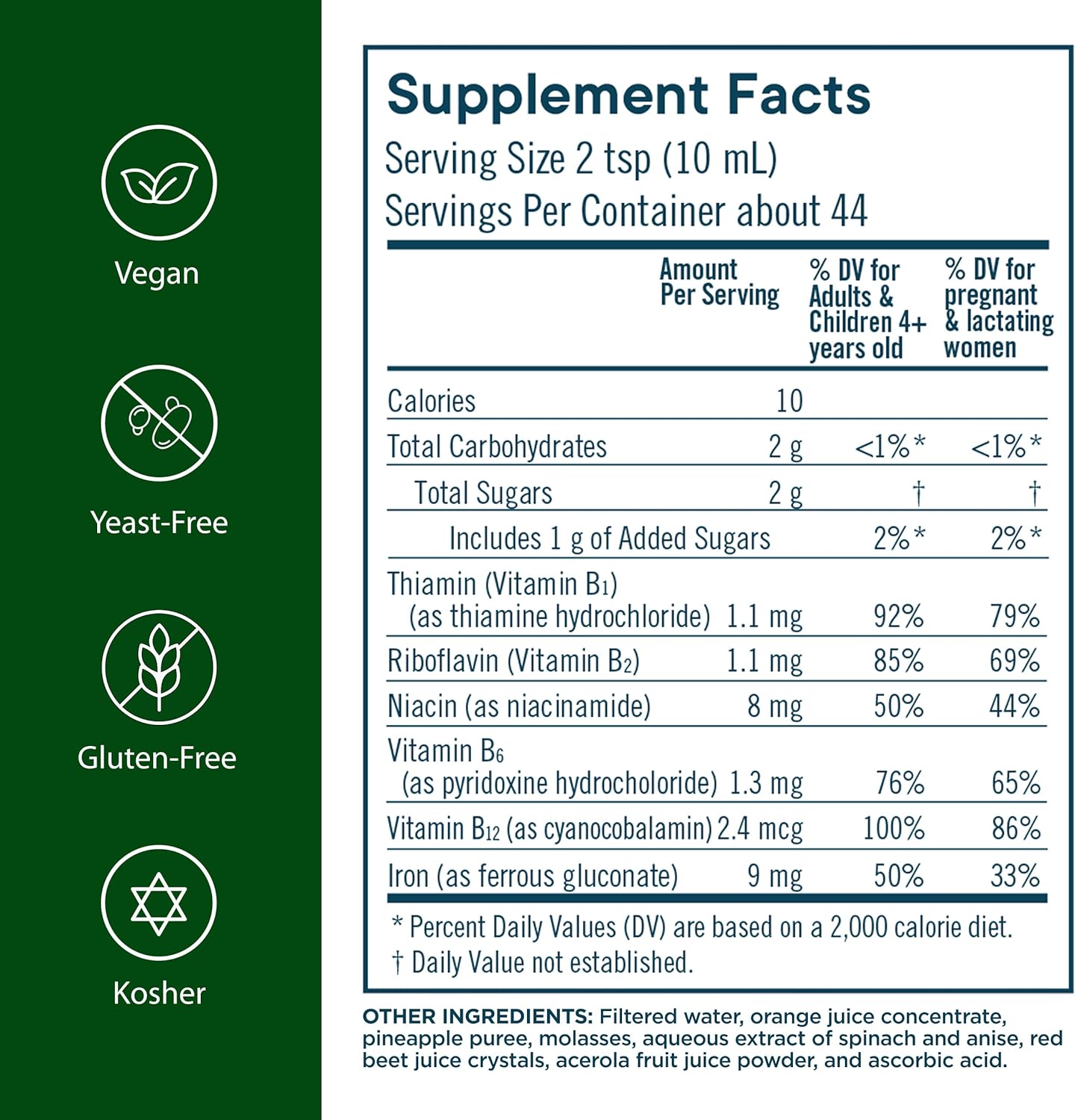 Flora Iron with B-Vitamin Complex - Helps Maintain Healthy Iron Levels - Non-Constipating, Highly Absorbable - Vitamin-B & Liquid Iron - Vegan Supplement - Yeast & Gluten Free, 15-oz. Glass Bottle