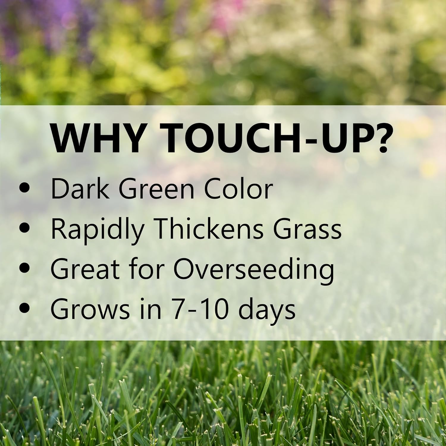 Jonathan Green (12140) Touch-Up TRI-RYE Perennial Ryegrass Grass Seed - Cool Season Lawn Seed (7 lb)