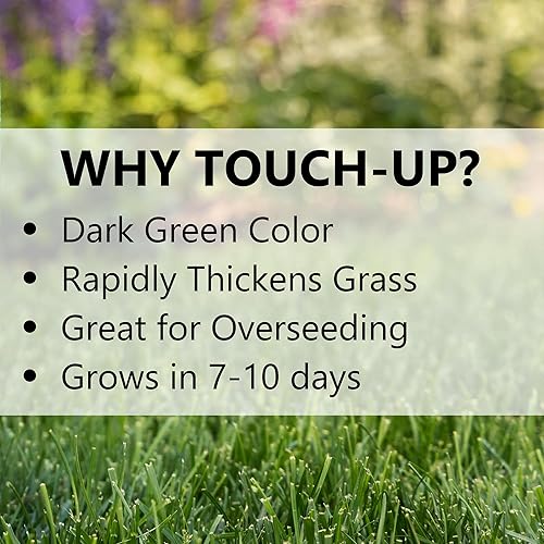 Miniatura 5 de Jonathan Green 12140 Touch-Up Tri-RYE Semilla de hierba perenne de riegrass  Semilla de césped de temporada fría 7 libras