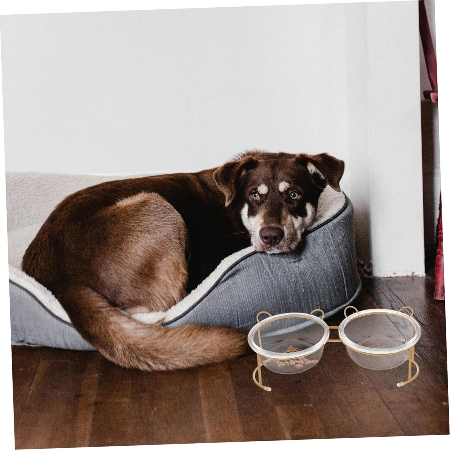 HANABASS Elevated Double Glass Cat Bowl Set with Iron Rack Durable PET Food Dish for Cats and Dogs Sturdy and Stylish Bowls for Feeding and Watering Pets