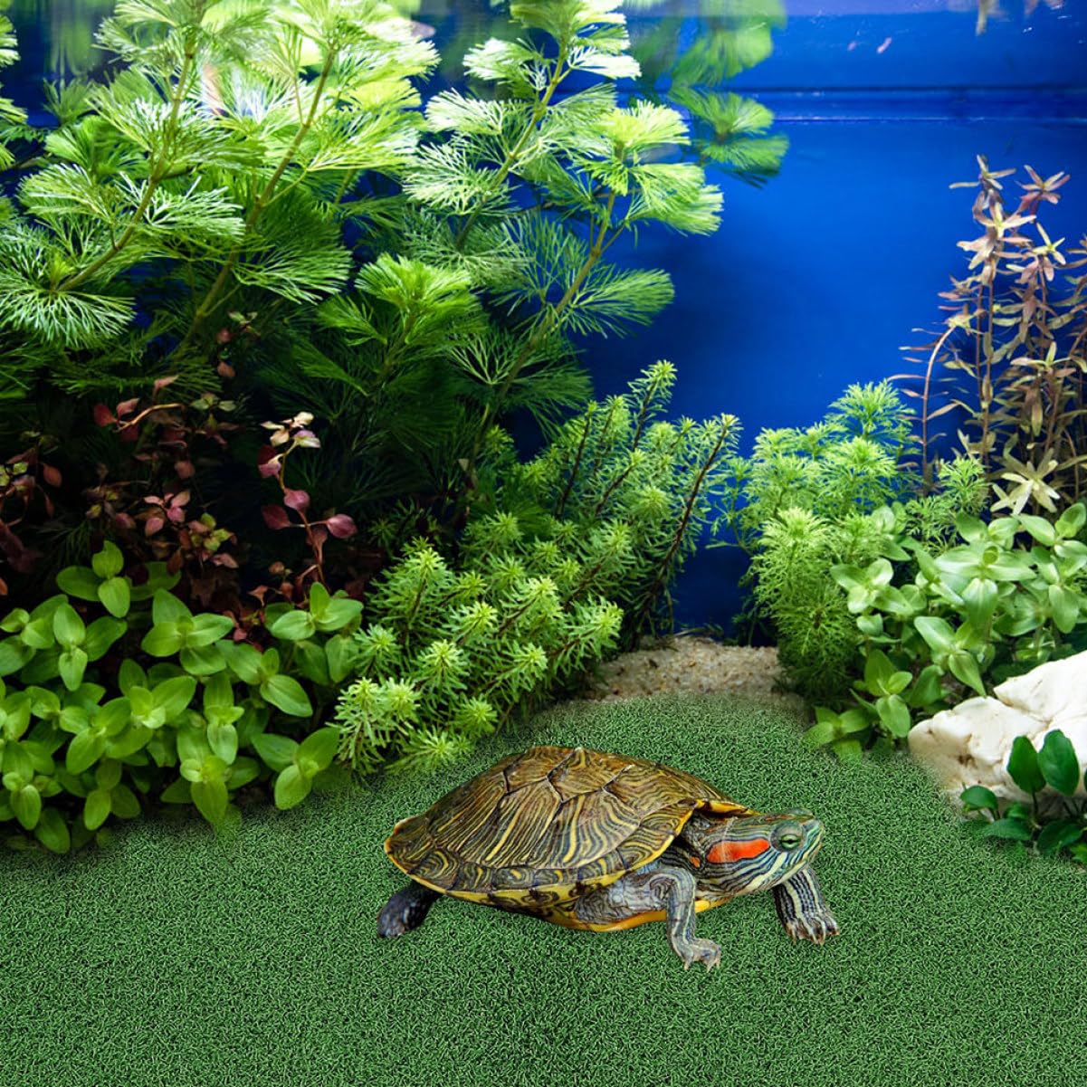 Alipis Piattaforma Basking in Erba Artificiale 2 Pezzi, Plastico Verde | Forma Prato, per Habitat Acquatici e Acquari, Design Realistico, Struttura Stabile, Facile da Pulire