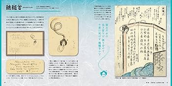 81Rvccwf3qL._AC_UF350,