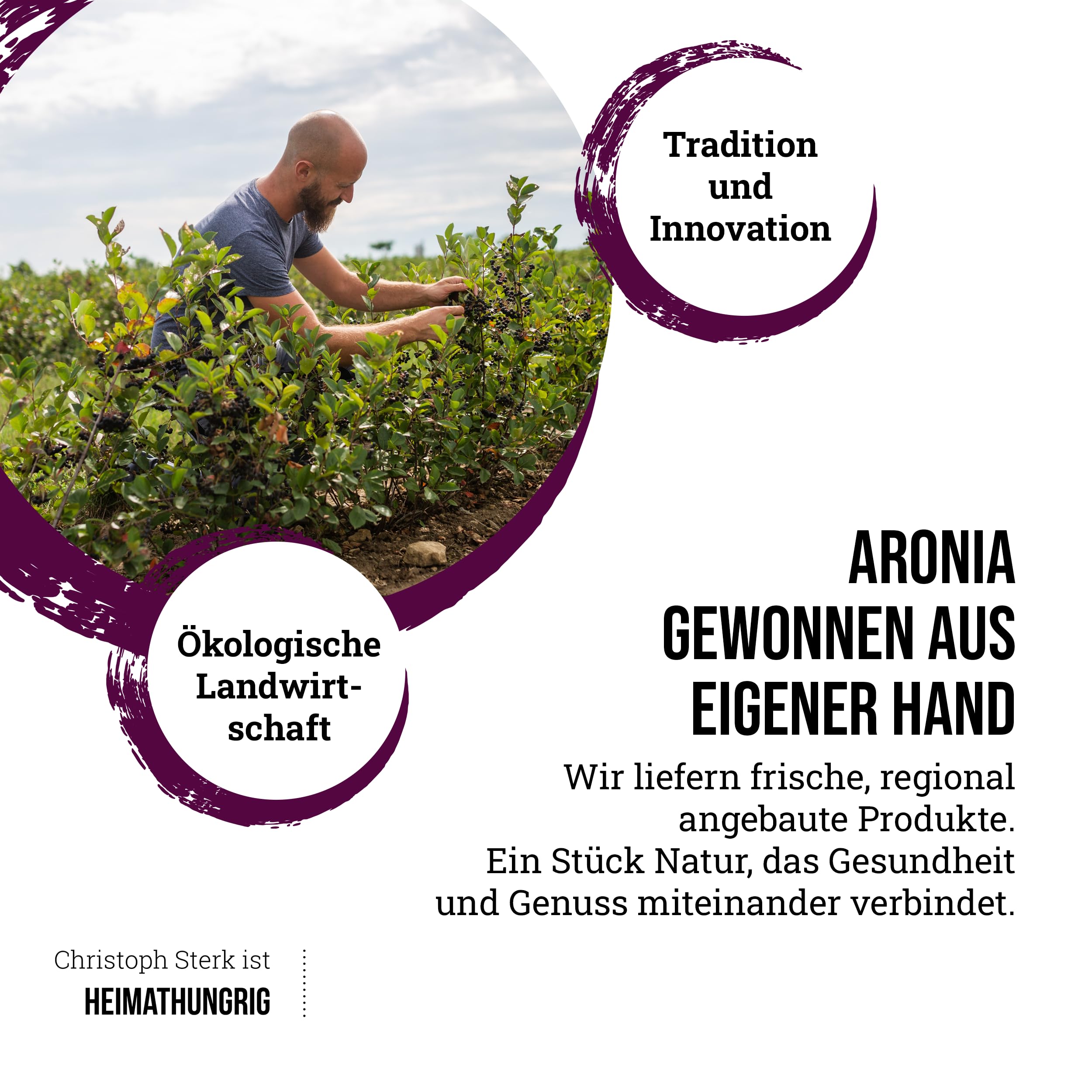 Heimathungrig - Bio Aronia Direktsaft 12x0,75L - Fruchtsaft aus 100% Aroniabeeren - naturtrüber, vegan & ungesüßt - Natürlicher Aroniasaft ohne Zuckerzusatz (Regionaler Saft aus Deutschland)