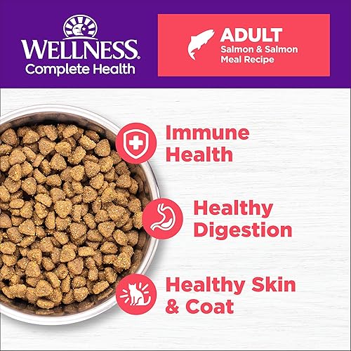 Miniatura 10 de Wellness Complete Health Alimento seco natural para gatos con granos saludables, fabricado en Estados Unidos con carne real (gato adulto, receta de
