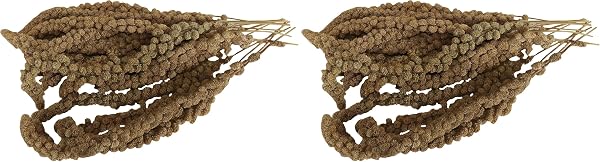 Aimé Millet en branche Oiseaux 250 g | Millet en grappes et graines pour oiseaux domestiques 100 % naturel | Friandises pour oiseaux pour éviter l'ennui et l'anxiété | Production française | - 2
