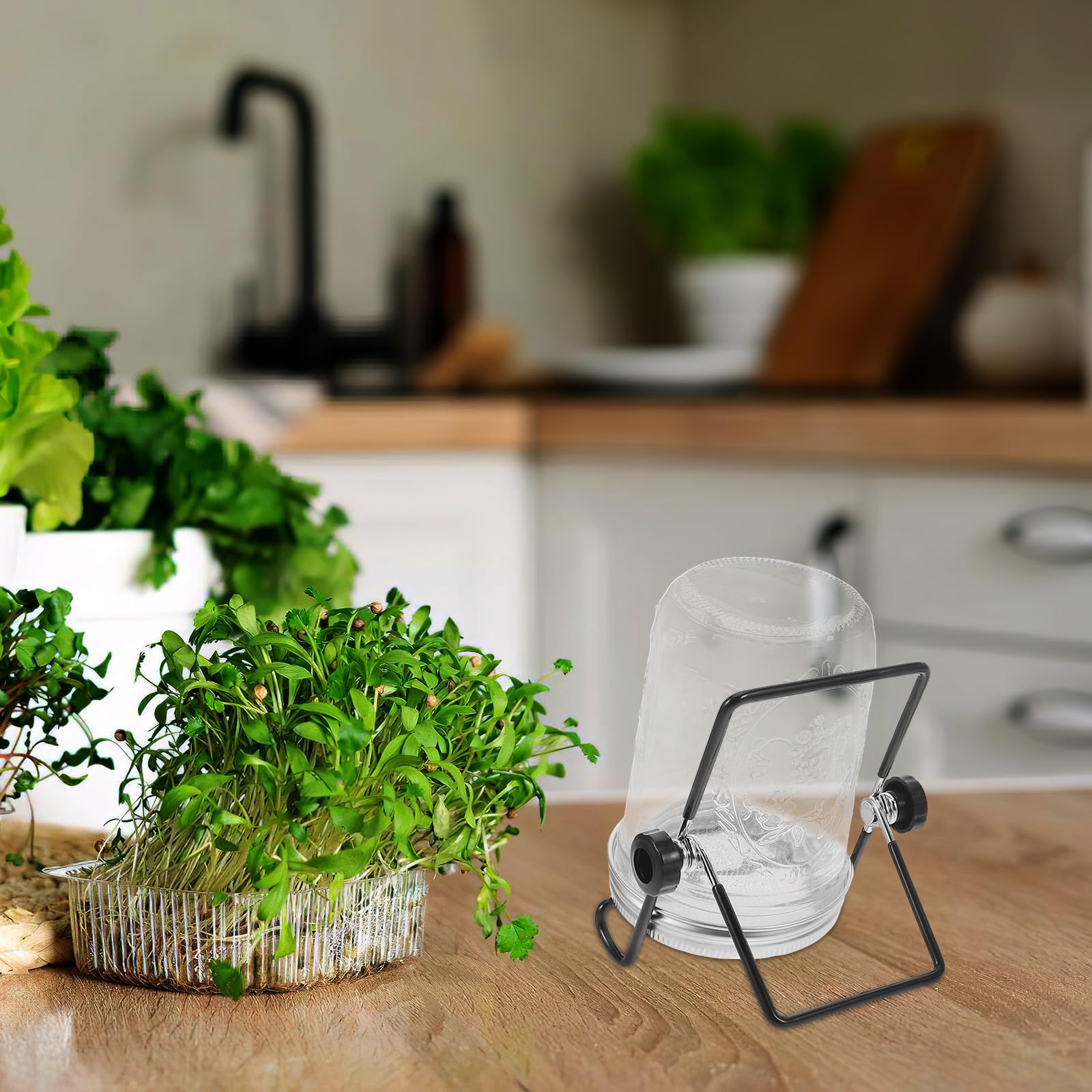 Gatuida Kit de Germination 2 Ensembles : Filtre à Germination, Pot de 473 g pour germes de soja, micropousses - Ensemble de germes de Culture et de Support de Rangement pour la Maison et Les fêtes