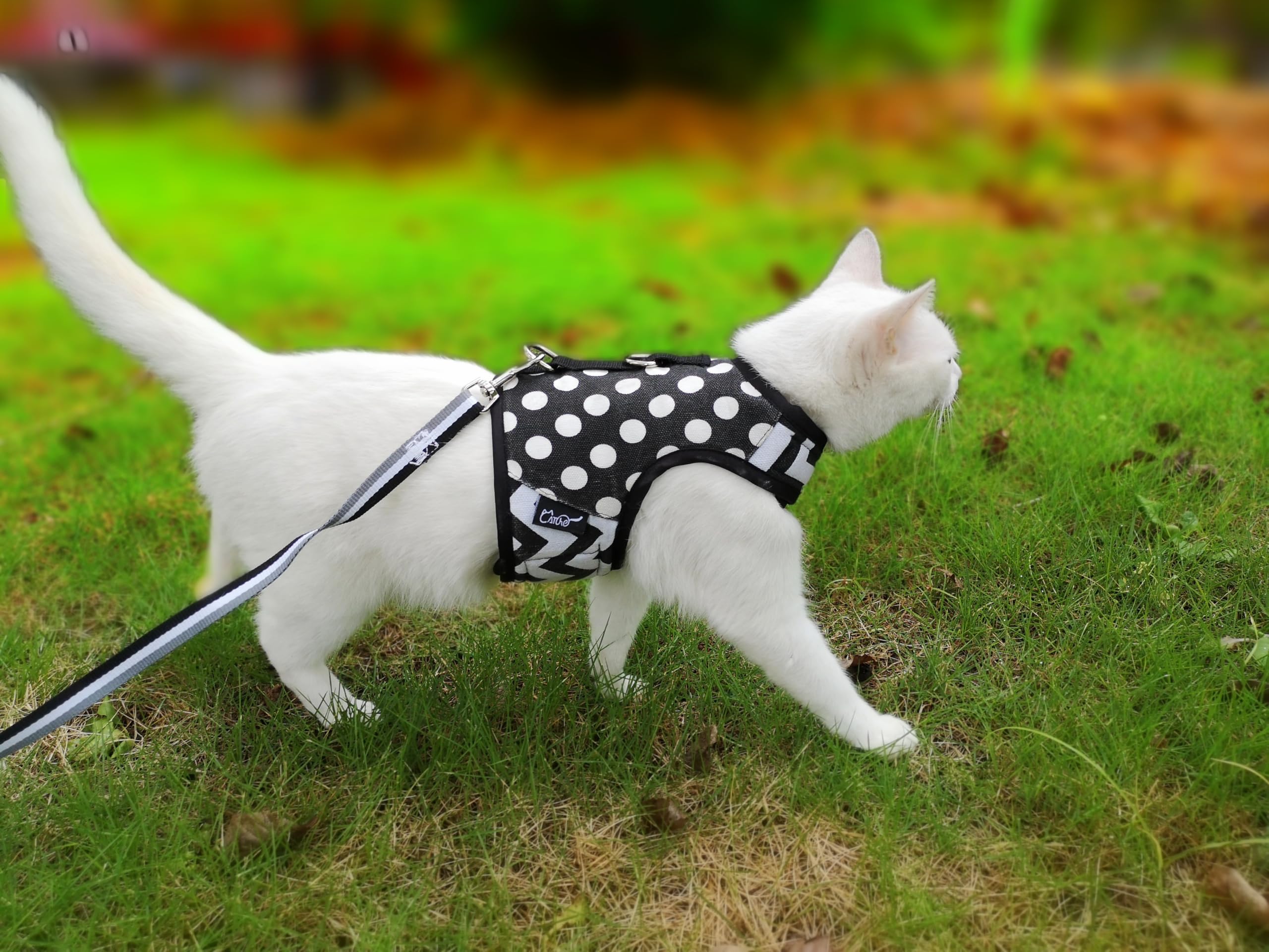 Arnés para Gatos a Prueba de Escape con Correa, tamaño Mediano, Chaquetas Ajustables para Caminar, Chaleco Acolchado para Gatos con Lunares, Color Negro