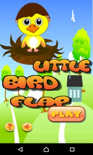 Flasque de petit oiseau – vue 2