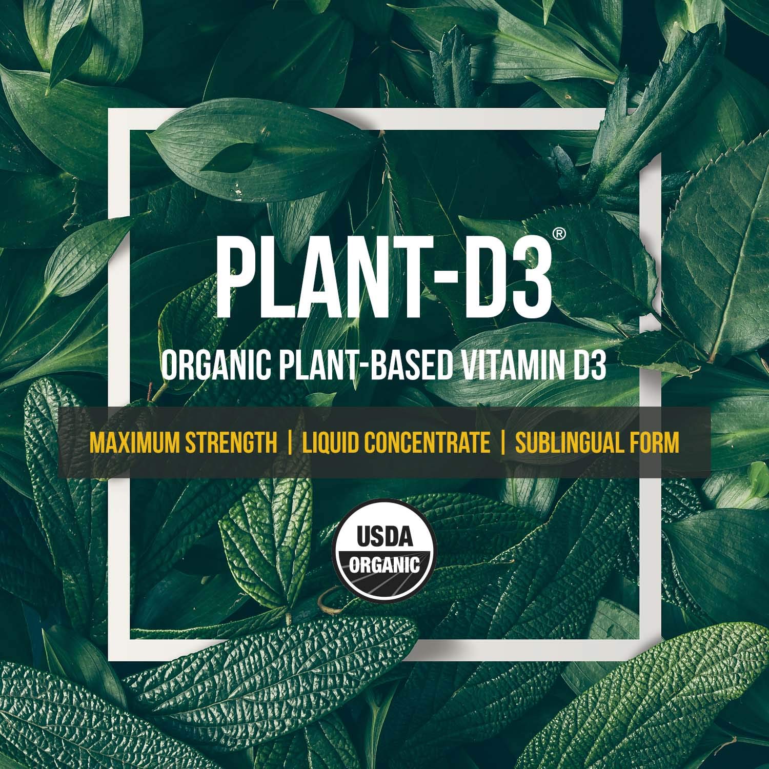 Buy PlantD3 Organic Vitamin D3 5000 IU Vegan, Max Strength