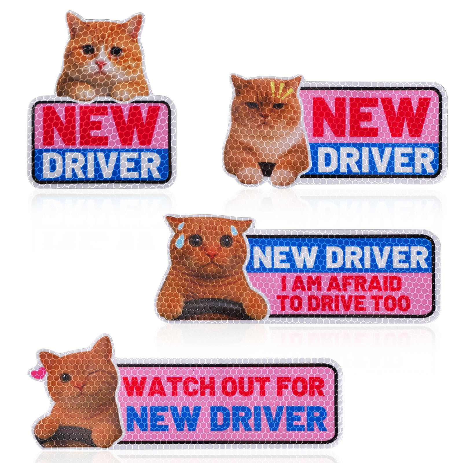 4pz Magneti Auto Gatto Divertente New Driver, Cartelli Riflettenti Studente Nervoso Gatto Carino Adesivi Magnetici Paraurti Riutilizzabili Avviso Sicurezza per Regali Principiante Neopatentato