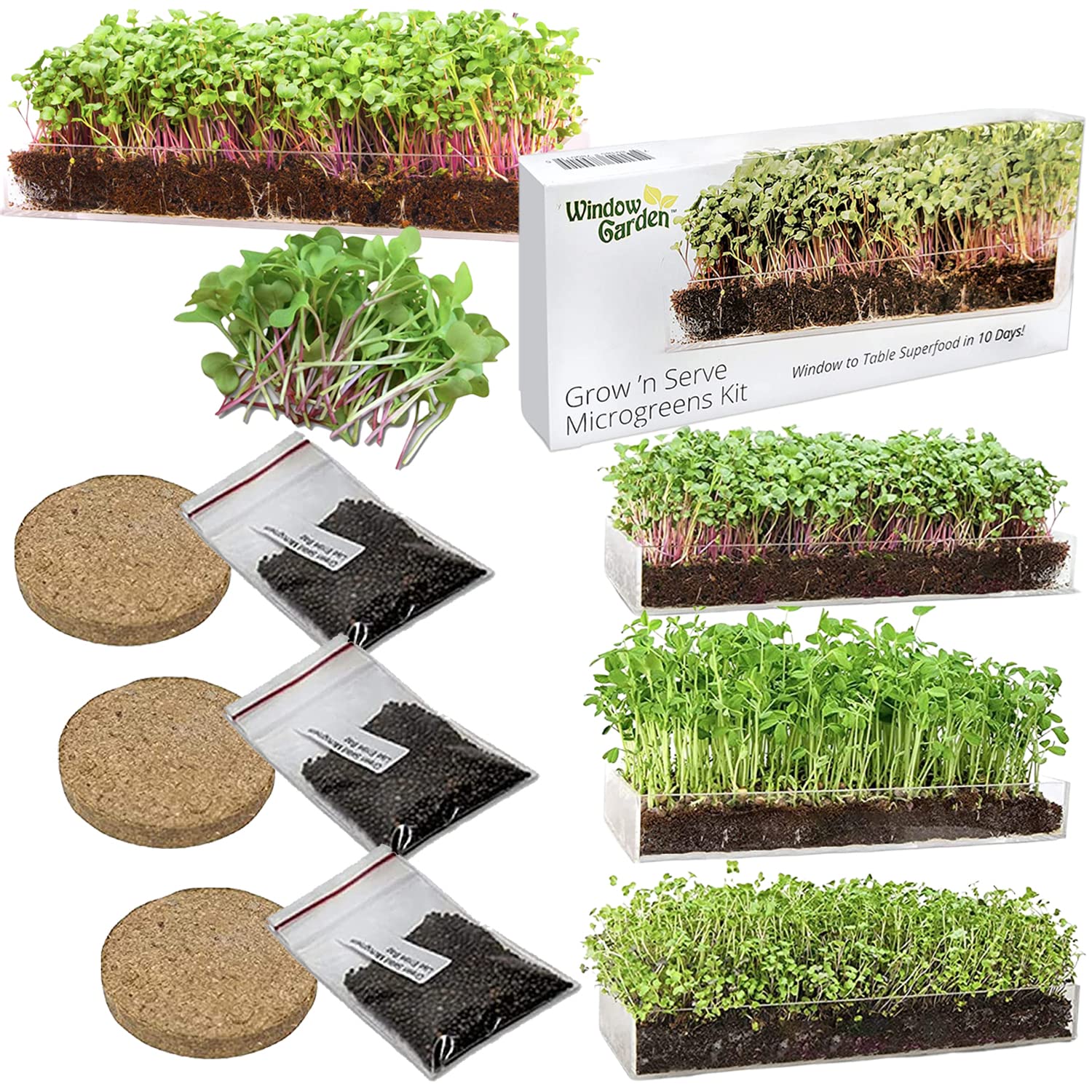 Photo 1 of Microgreens Grow Kit Includes Seeds, Fiber Soil, Growing Tray, Sprayer and Microgreens Growing Kit Includes Microgreen Seeds, Organic Pea Shoot - Pre-Measured Soil, Sprout Crops of Superfood Greens