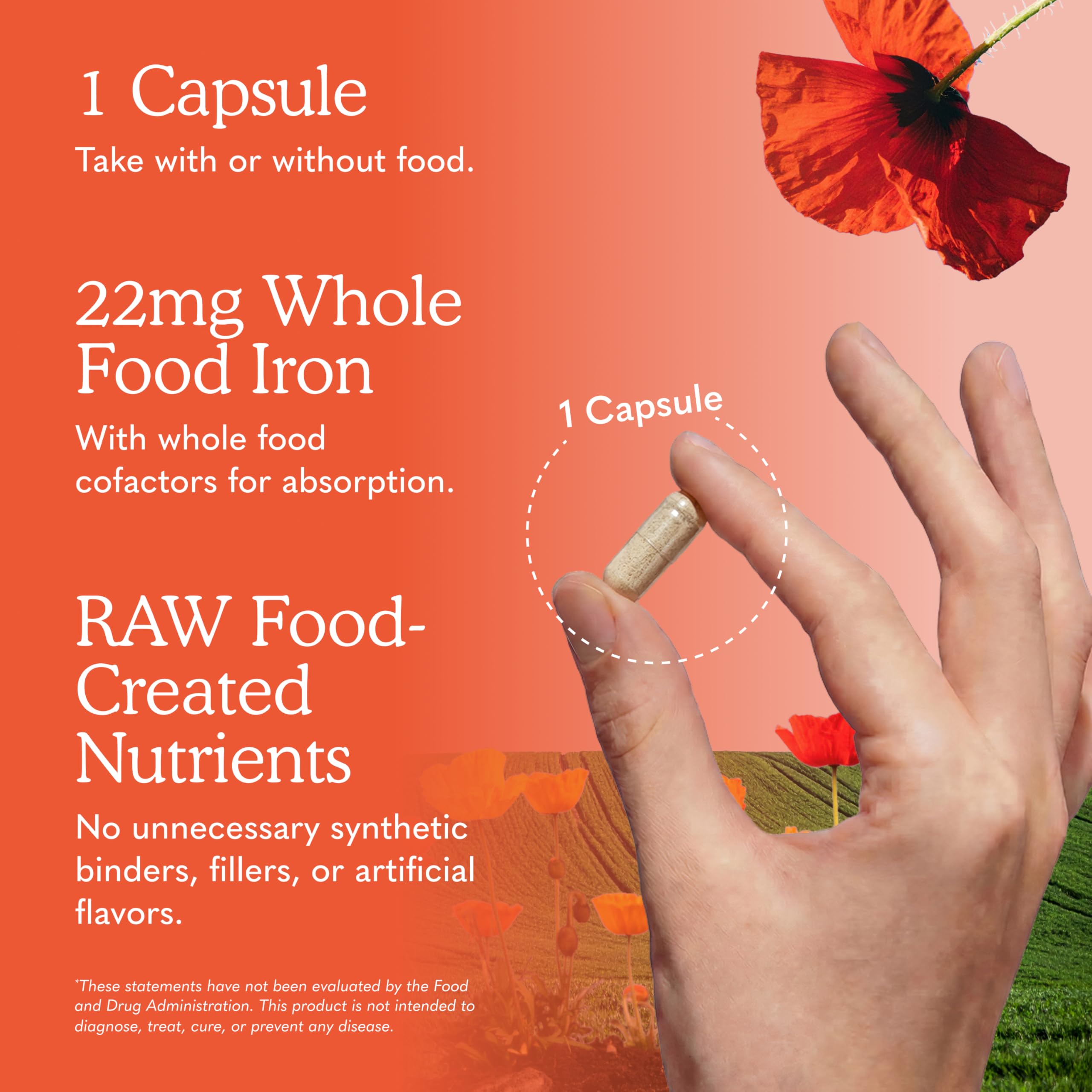 Amazon.com: Garden of Life Vitamin Code Raw Iron Supplement - 30