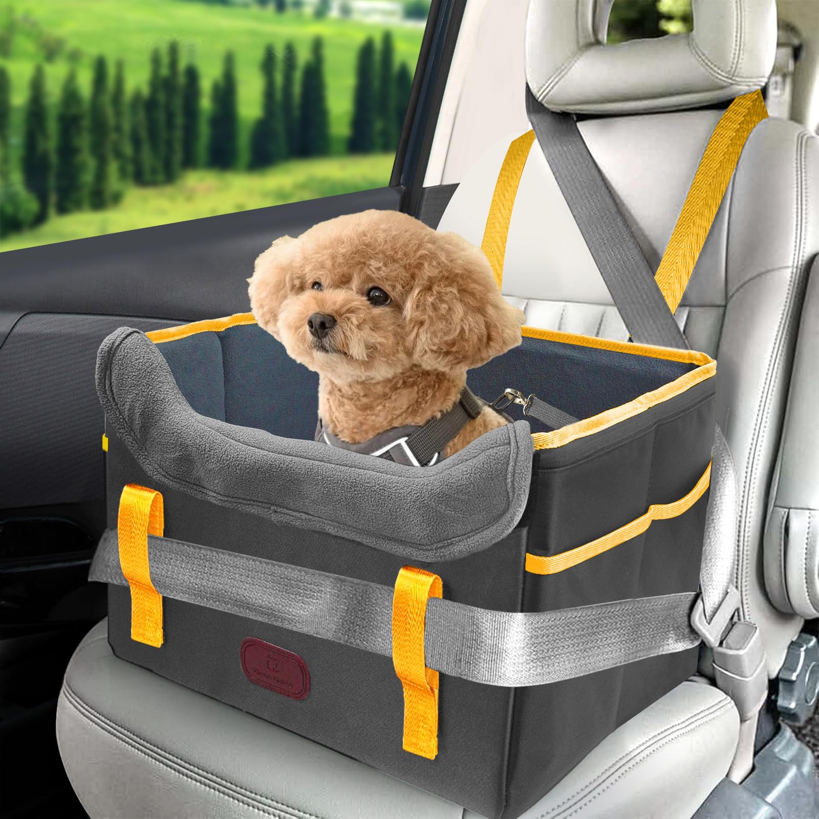 Asiento Perro Coche Homologado, Elevado Estable, Transportin Perro Pequeño Coche Impermeable y Plegable con Correa de Seguridad para Asientos Delanteros y Traseros