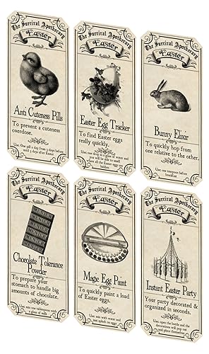 Amazon.com: Easter Vintage 6 inspired bottle apothecary ...