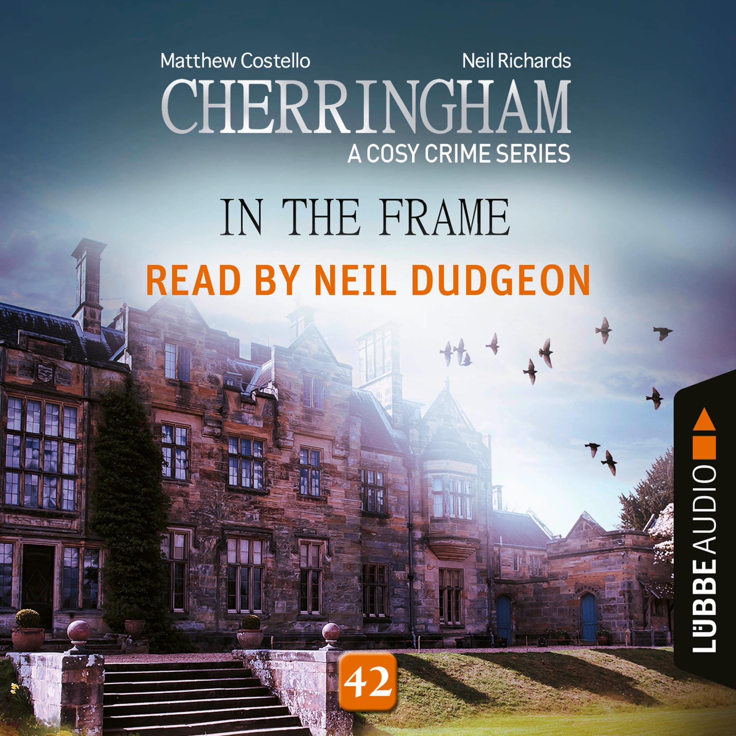 Cover art for In the Frame