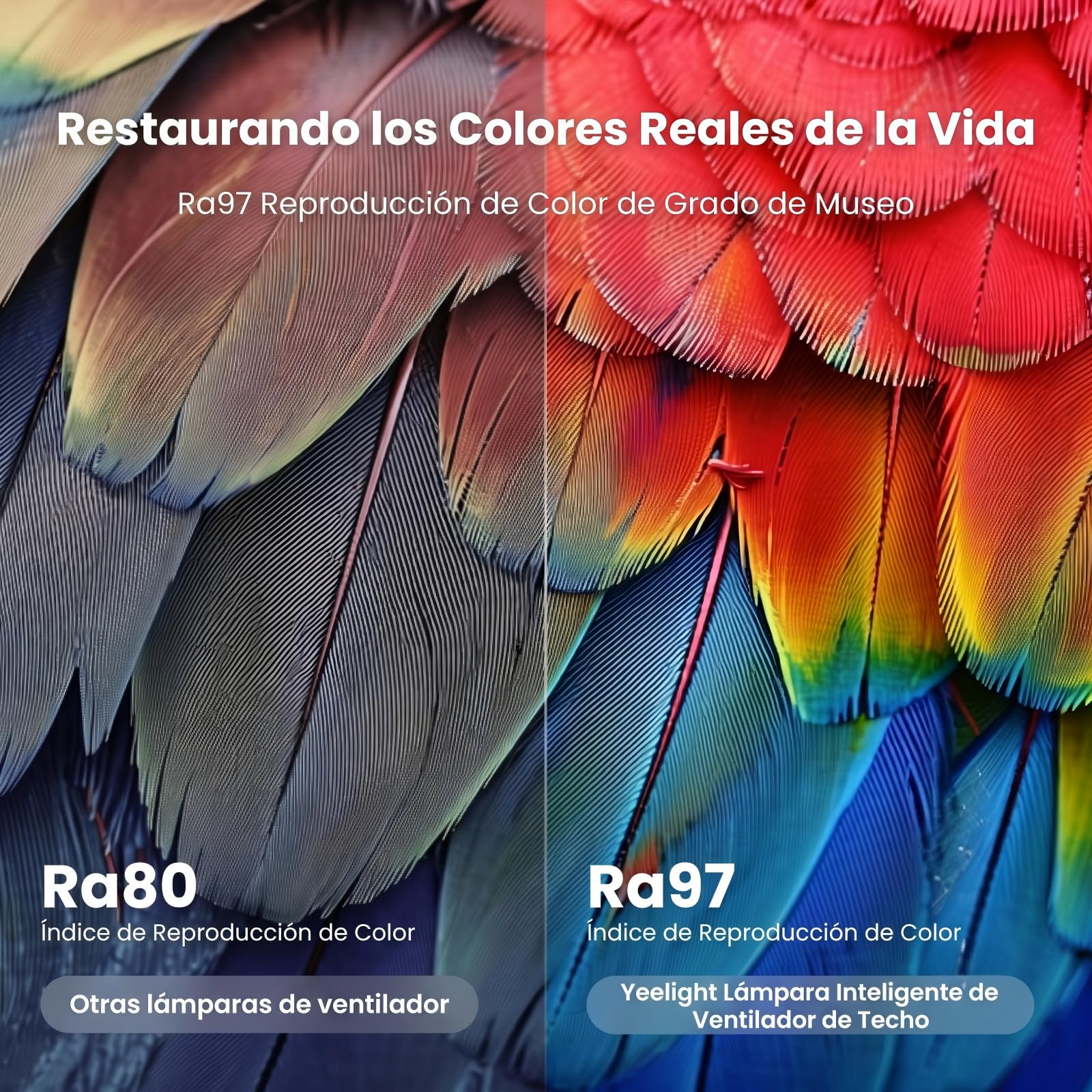 Yeelight Ventilador de Techo con Luz 74W, Plafón Inteligente Regulable con Ventilador Silencioso, 6 Velocidades, Mando a Distancia, Temporizador, Modo Verano Invierno, Lámpara para Dormitorio y Salón