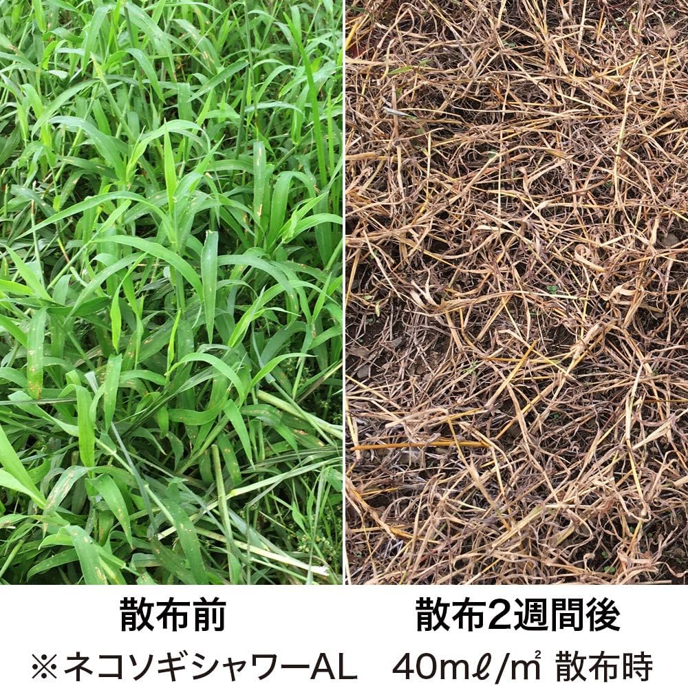 Amazon | レインボー薬品 除草剤 ネコソギシャワーAL 液剤 2L