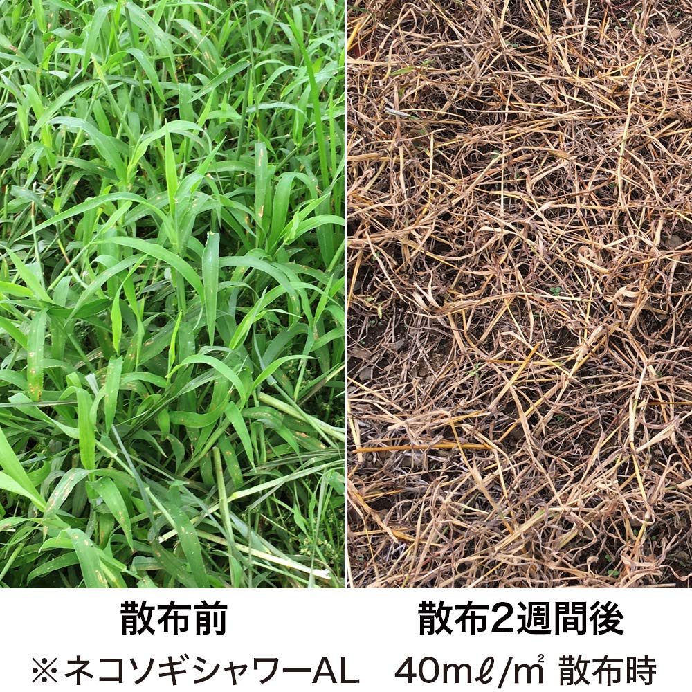 ネコソギLL＆レイドジャパンG.i＆AYUCLONE180 ネコソギLL＆レイドジャパンG.i＆AYUCLONE180