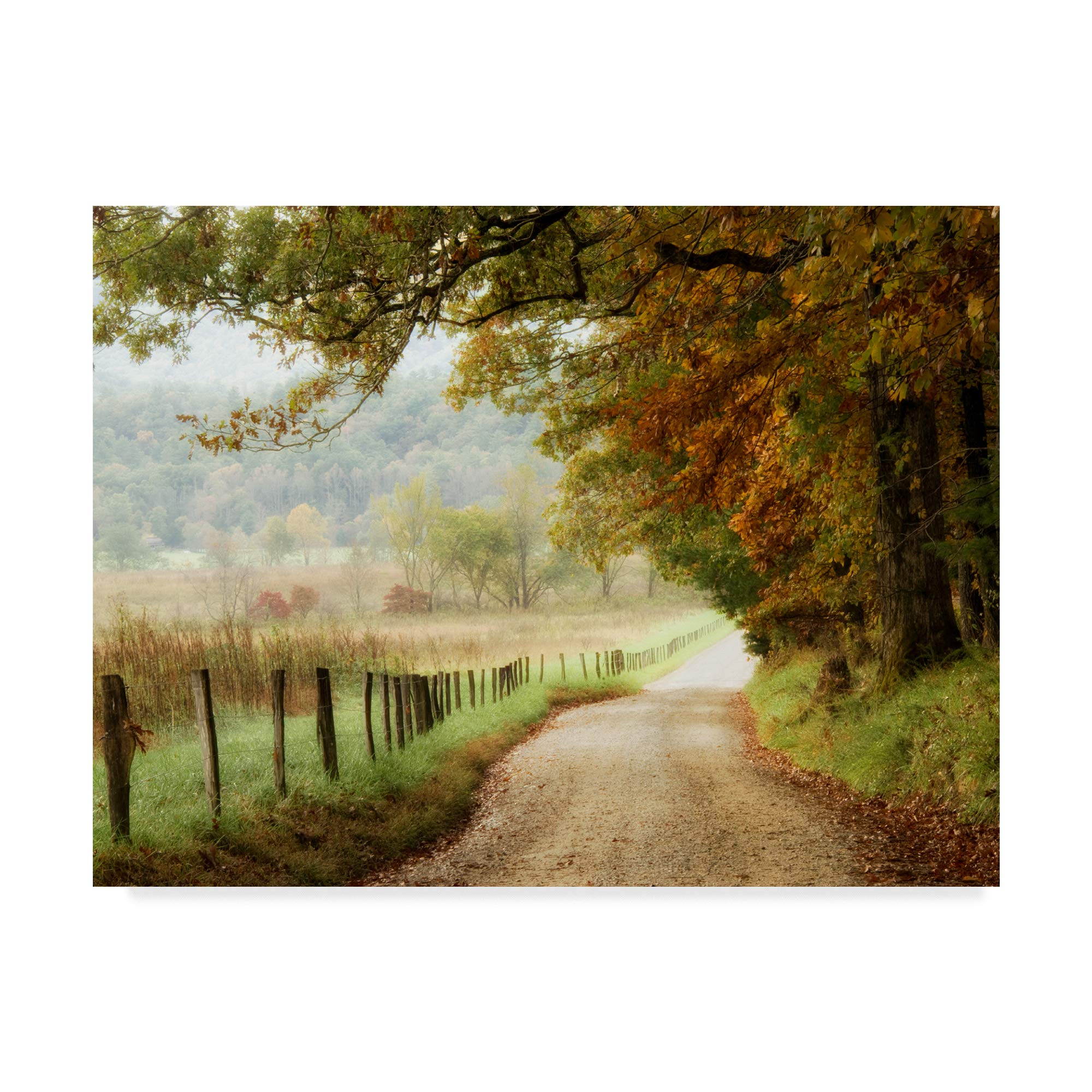 Similar) Trademark Fine Art Autumn on a Country Road by Danny Head, 18x24-Inch, 18 in x 24 in