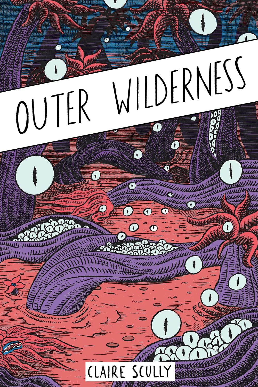 Outer Wilderness: Outer Sequence of Events Occurring over an Unimaginable Period of Time in the Vastness of Space