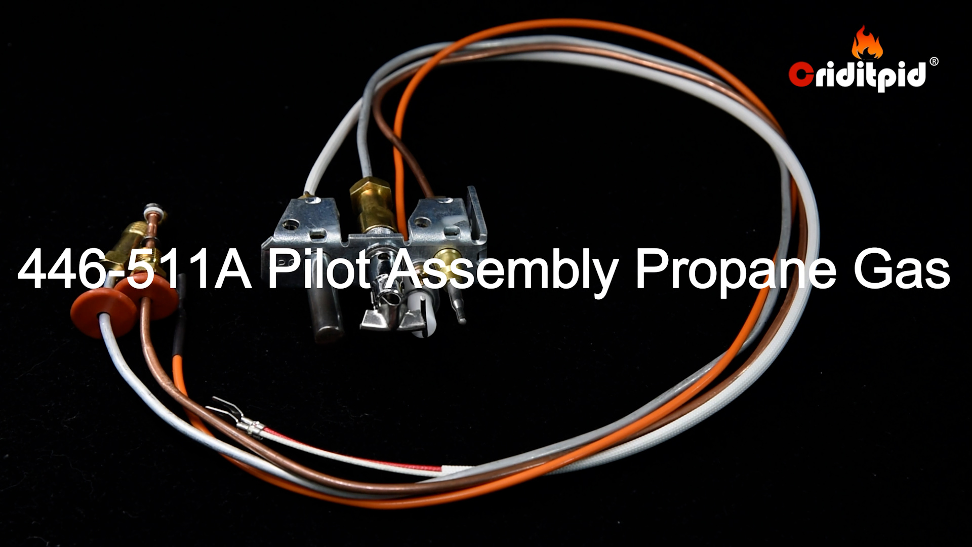 Amazon.com: Criditpid 446-511A Pilot Assembly Propane Gas (LP) for