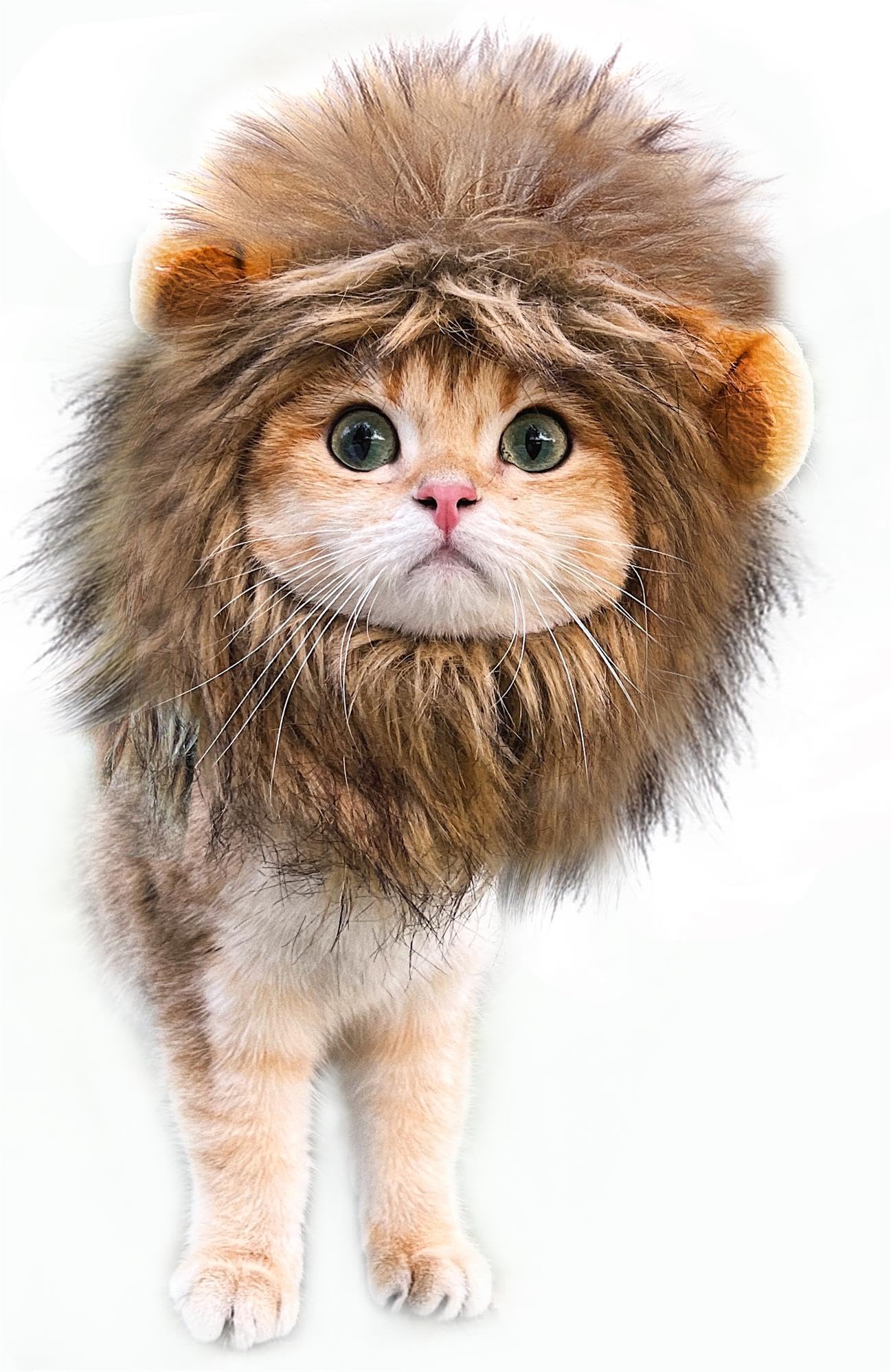 OaaXbbECco Lion Mane Wig for Cat Costume (Light Brown, Small)